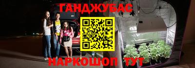 кокс Кингисепп