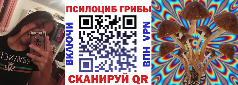 магазин  наркотиков  Барабинск  Галлюциногенные грибы Psilocybine cubensis 