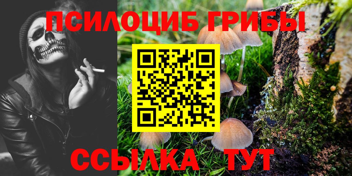 Псилоцибиновые грибы прущие грибы Барабинск