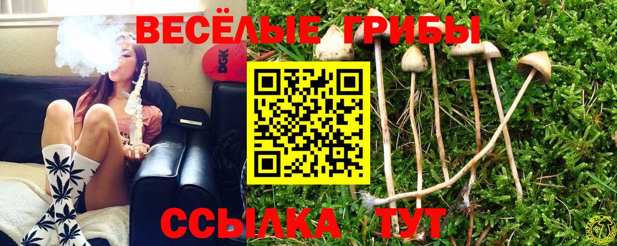 Барабинск  Псилоцибиновые грибы мухоморы  Вход с VPN  купить  сайты  Псилоцибиновые грибы MAGIC MUSHROOMS 